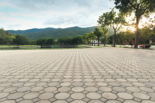 Best Driveway Paving Contractor  in Charlotte, TX