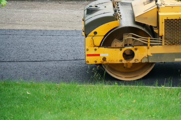 Best Local Driveway Pavers  in Charlotte, TX